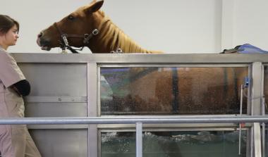 Kinesia, CIRALE - Goustrainville