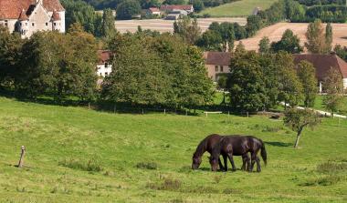 Parc Naturel du Perche