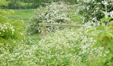 Réserve naturelle des anciennes carrières d'Orival