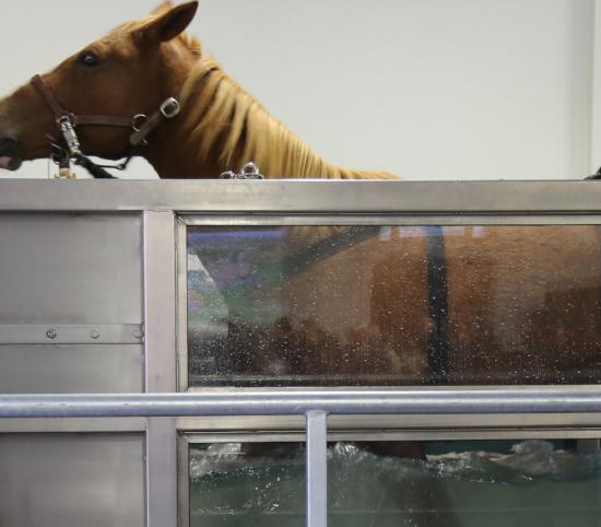 Kinesia, CIRALE - Goustrainville