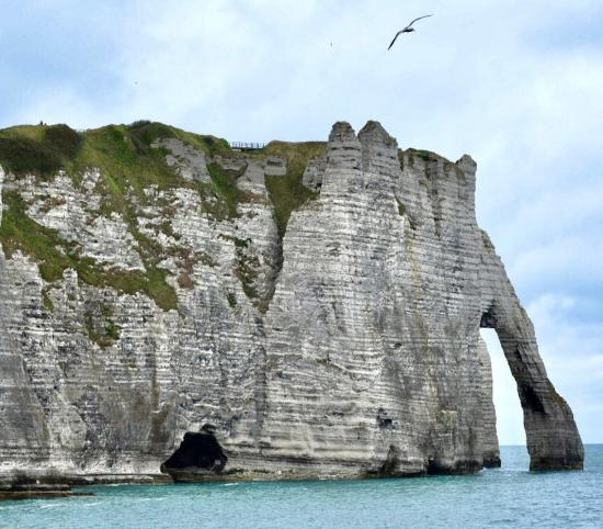 Falaises d'Etretat
