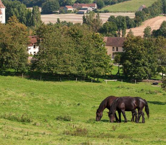 Parc Naturel du Perche