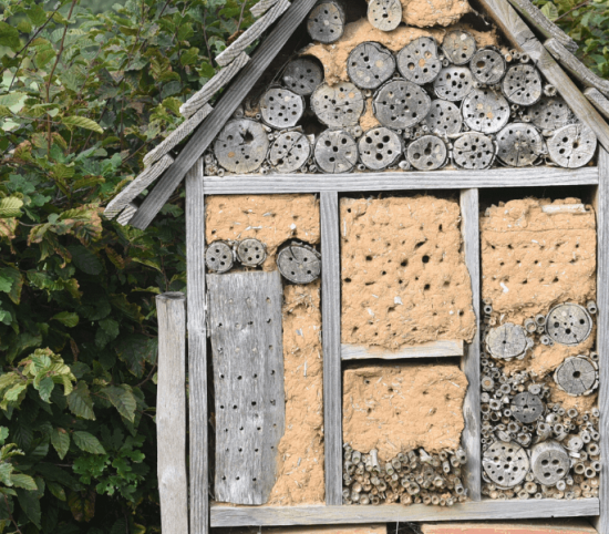 Santé-et-environnement-Normandie
