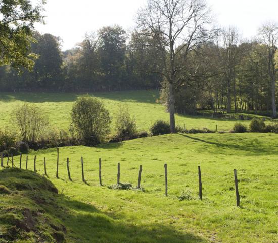 Parc régional naturel du Perche