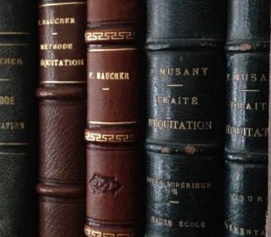 Bibliothèque mondiale du cheval