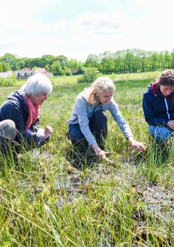 Réserve naturelle nationale des marais de la Sangsurière et de l'Adriennerie