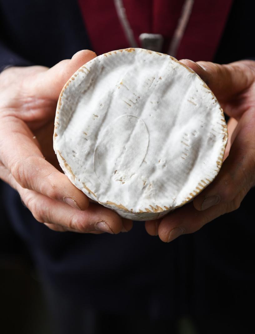 projet_aop_camembert_de_normandie-_eric_biernacki_-_region_normandie-42784-1600px.jpg